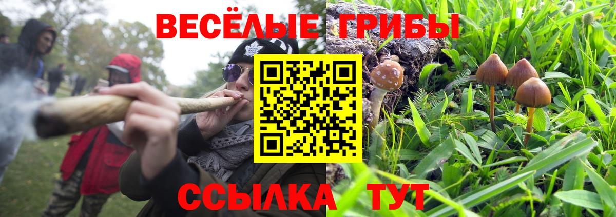 Видное  Псилоцибиновые грибы мухоморы  что такое наркотик  Псилоцибиновые грибы Psilocybine cubensis  Вход с VPN 
