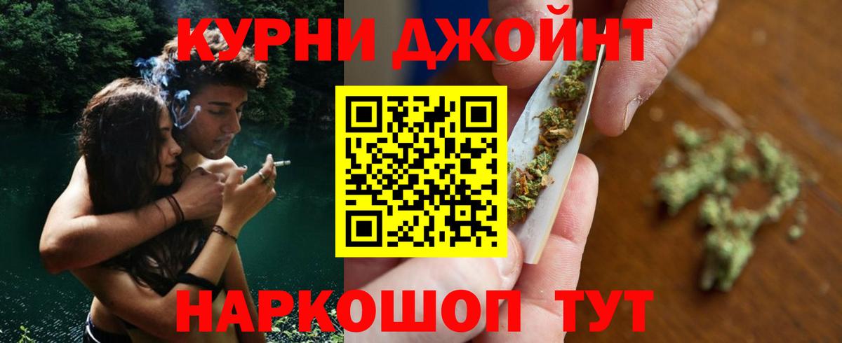 Каннабис сатива Видное